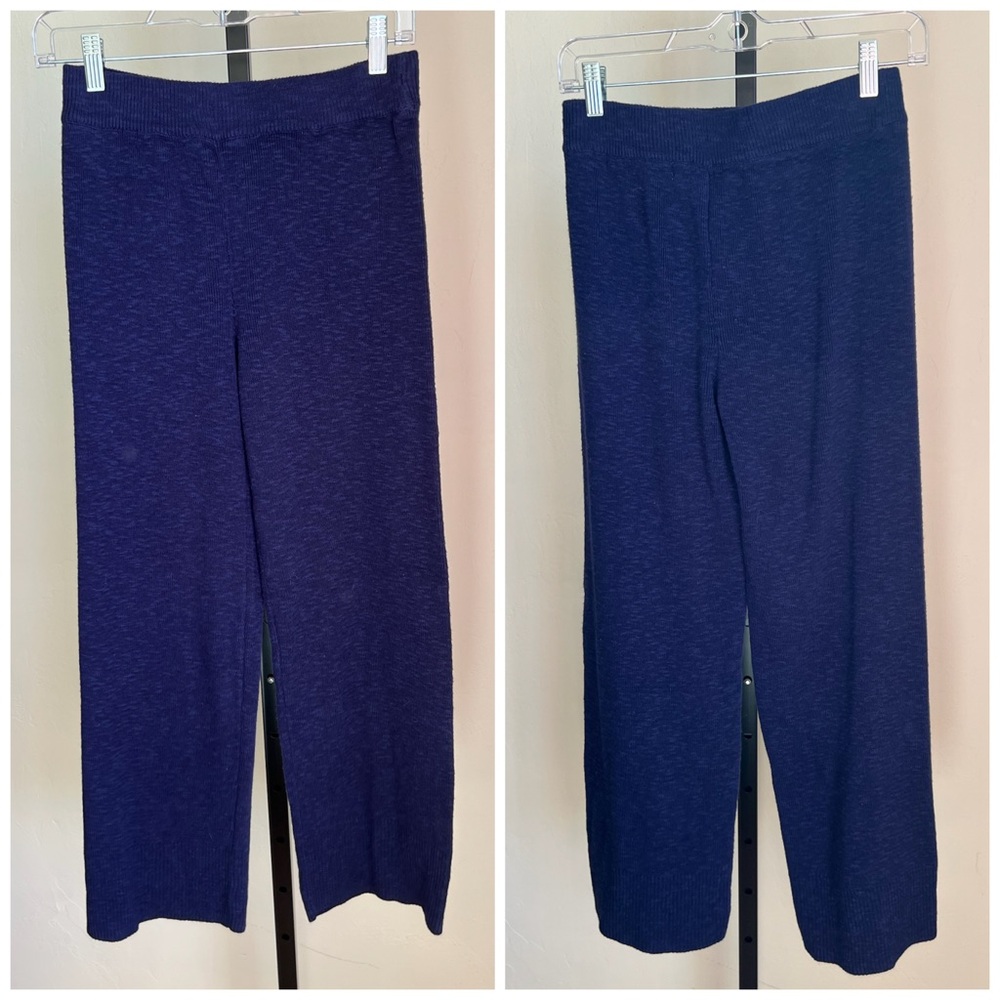 Free People Beach Navy Pants XS
